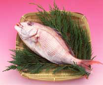салат из рыбы